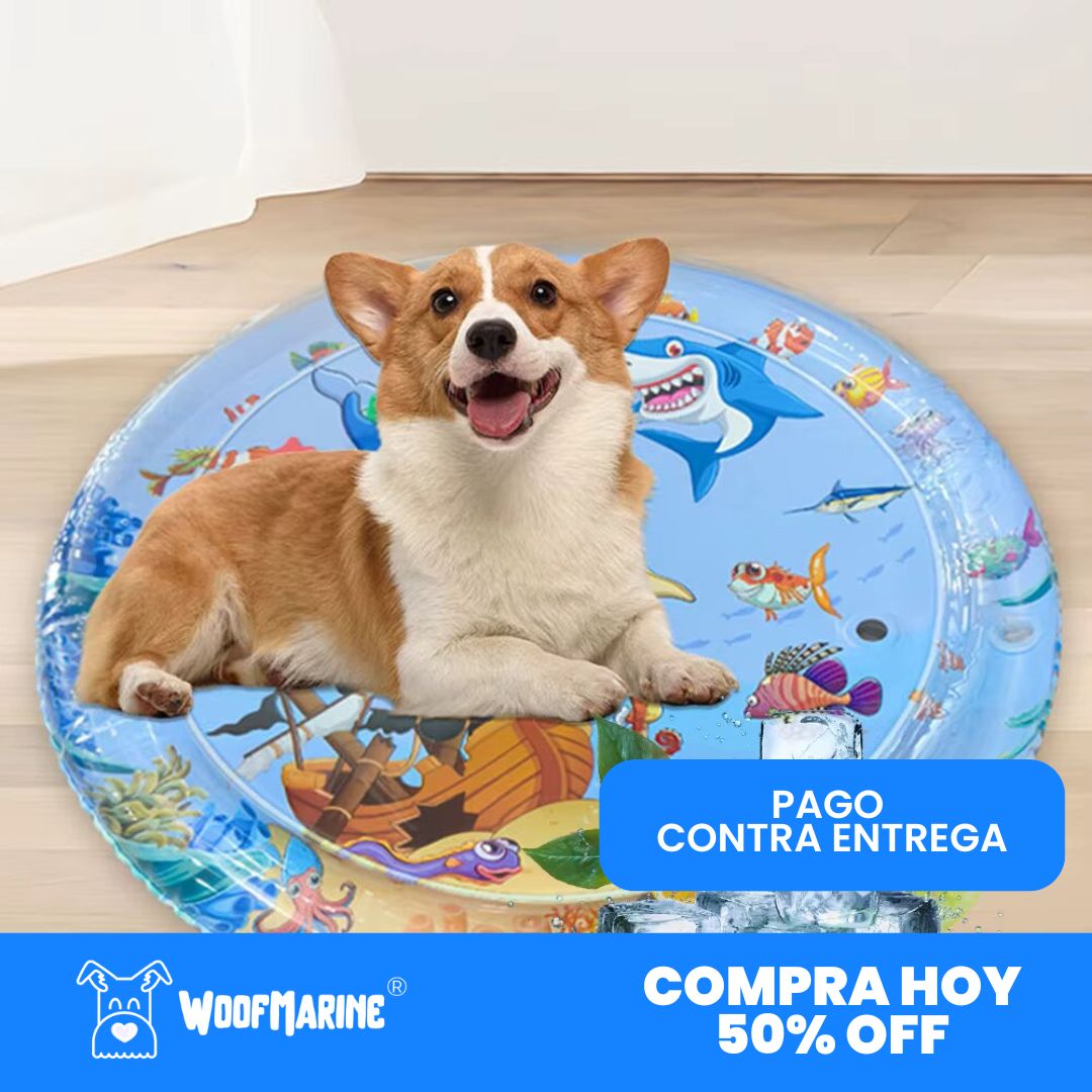 PISCINA refrescante para mascota