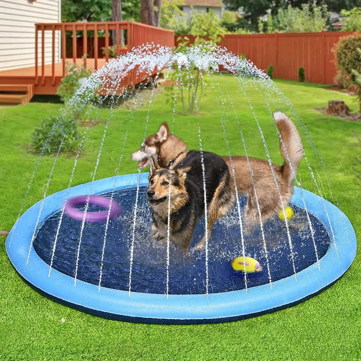 Pileta GRANDE para Mascotas y niños | 100 cm