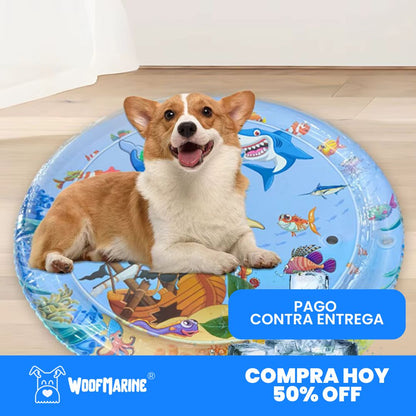 PISCINA refrescante para mascota