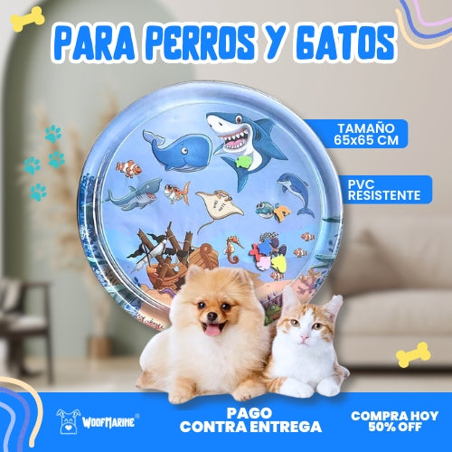 PISCINA refrescante para mascota