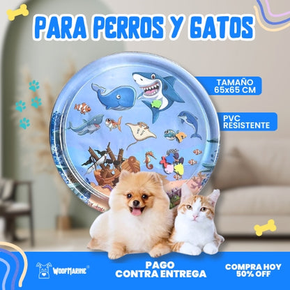PISCINA refrescante para mascota