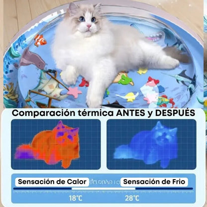 PISCINA refrescante para mascota
